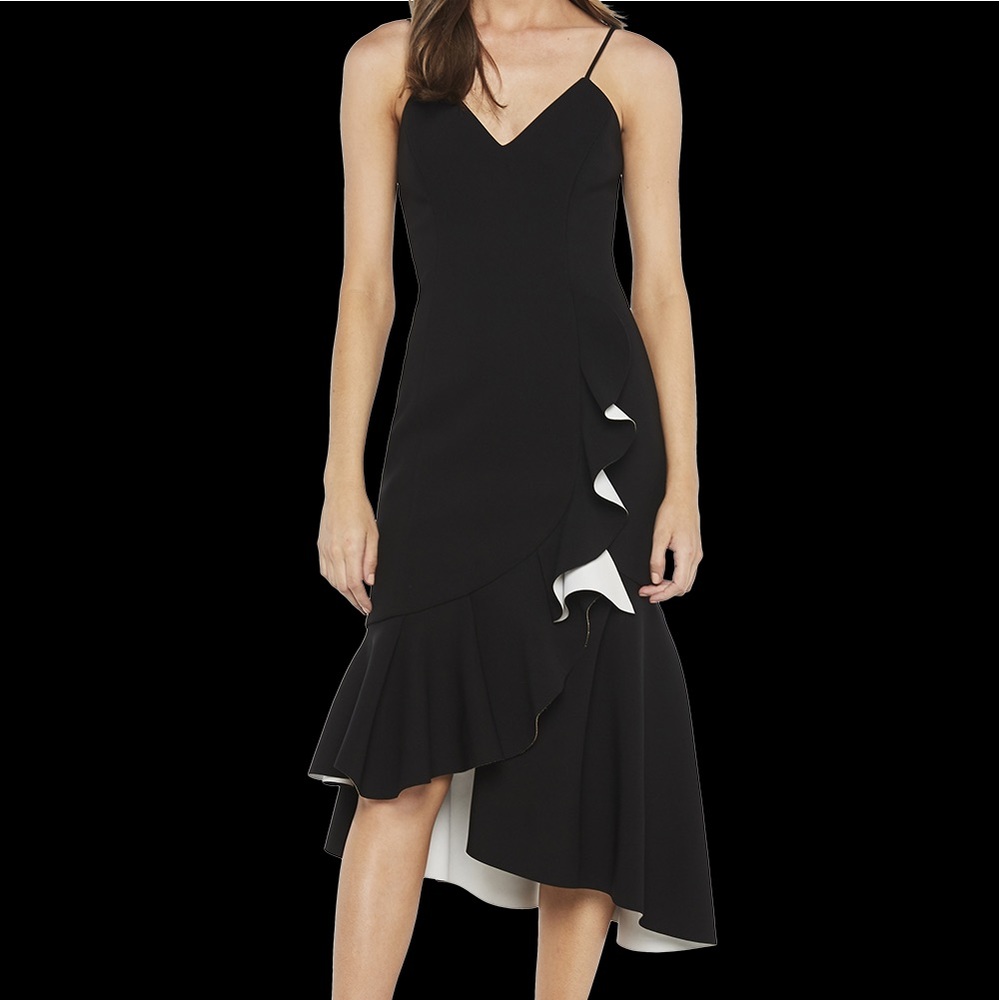 NWT Bardot Kiki Bonded Dress